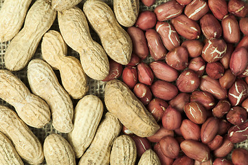 Image showing Closeup Peanuts on burlap