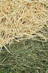 Image showing Straw and hay close up background