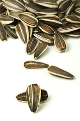 Image showing Raw sunflower seed