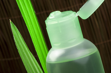 Image showing Green cosmetic bottle and leaf