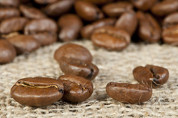Image showing Coffee beans