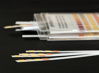 Image showing Litmus strips