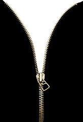 Image showing White isolated zipper