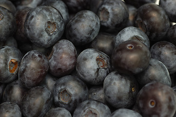 Image showing Blueberries