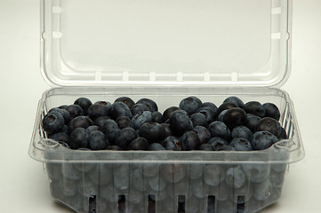 Image showing Blueberries