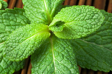 Image showing Mint leaves on wooden base