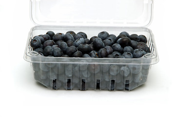 Image showing Blueberries