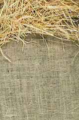 Image showing Straw on burlap