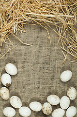 Image showing Organic white domestic eggs on sackcloth and straw