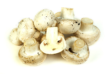 Image showing Mushrooms