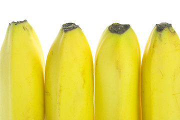 Image showing Banana

