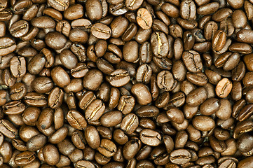 Image showing Coffee beans