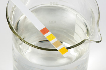 Image showing Litmus strips