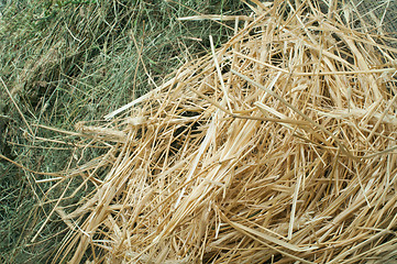 Image showing Straw and hay close up background