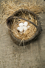 Image showing Organic white domestic eggs in vintage basket