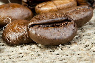 Image showing Coffee beans