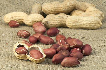 Image showing Closeup Peanuts on burlap