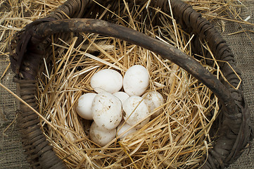 Image showing Organic white domestic eggs in vintage basket