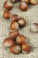 Image showing Closeup raw hazelnuts on burlap