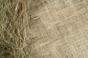 Image showing Hay on burlap