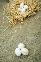 Image showing Organic white domestic eggs in straw nest