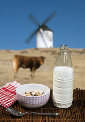 Image showing Muesli breakfast in a bow, spoon and milk