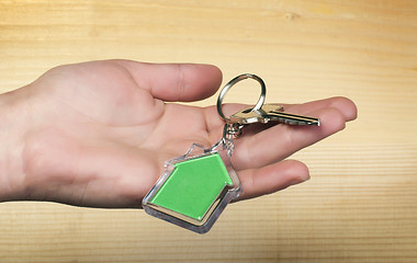 Image showing Keychain with figure of green house