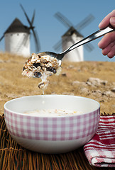 Image showing Muesli breakfast in a bowl and mills