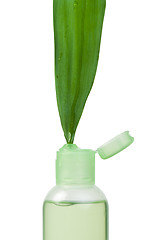 Image showing Green cosmetic bottle and leaf