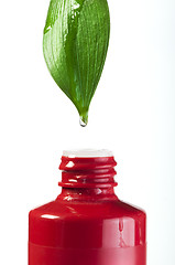 Image showing Green leaf and drop over a tube of cosmetics