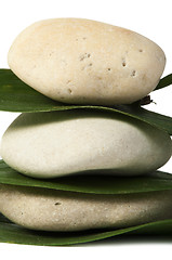 Image showing Stacked stones on base of green leafs