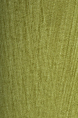 Image showing Green wallpaper texture