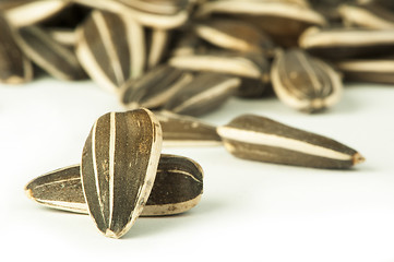 Image showing Raw sunflower seed