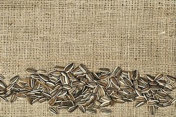 Image showing Closeup raw sunflower seeds on burlap