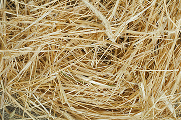 Image showing Straw close up background