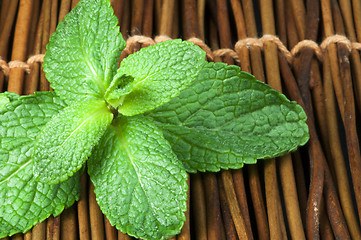 Image showing Mint leaves on wooden base