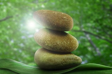 Image showing Stacked stones on base of green leafs