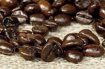 Image showing Coffee beans