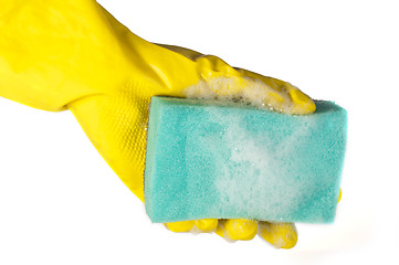 Image showing Sponge for washing dishes