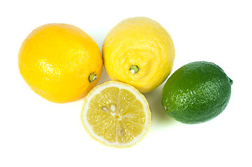 Image showing Three varieties of lemons