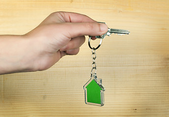 Image showing Keychain with figure of green house