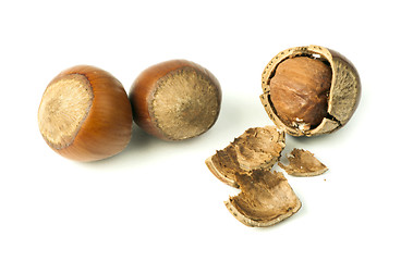 Image showing Closeup raw hazelnuts white isolated