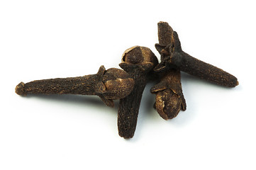 Image showing Pieces clove spice