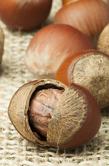 Image showing Closeup raw hazelnuts on burlap