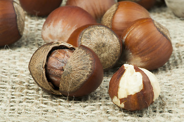 Image showing Closeup raw hazelnuts on burlap