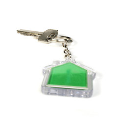 Image showing Keychain with figure of green house