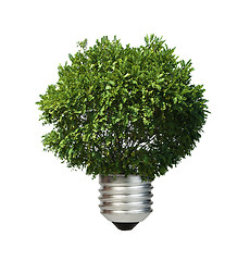 Image showing Lamp made ??of green tree. Ecology conception