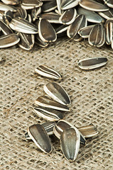 Image showing Closeup sunflower seeds on burlap