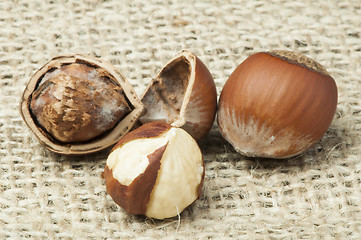 Image showing Closeup raw hazelnuts on burlap