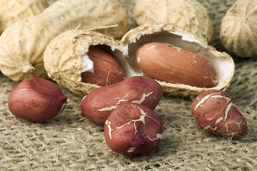 Image showing Closeup Peanuts on burlap